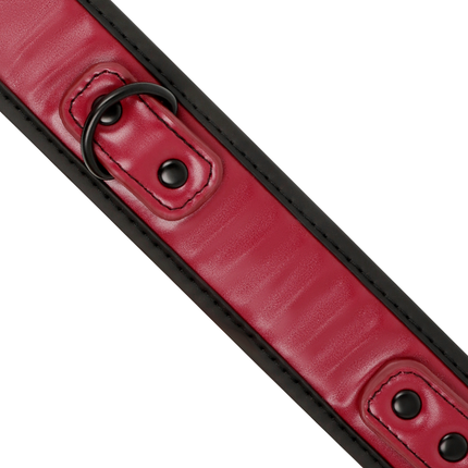 FETISH SUBMISSIVE DARK ROOM - CHAIN NECKLACE WITH NEOPRENE LINING