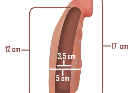 INTENSE - HOHLGESCHIRR MIT DILDO 18 X 3,5 CM - Hohle Geschirre