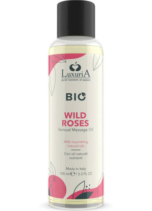 https://dreamlove.gesio.be/productos/imagenes/img_157185_bff655887bca423e3d1d917ab369bd07_1.jpg