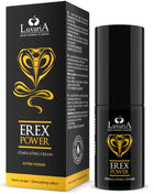 https://dreamlove.gesio.be/productos/imagenes/img_90290_1c115fd4020696228d7afc608d2d4277_1.jpg