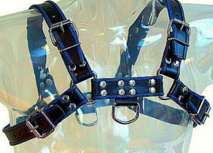 Blau-schwarz ledergeschirr brust bulldog aus blauem leder mit silbernen metallverschlüssen und nieten