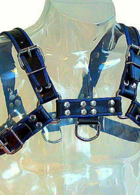 Blau-schwarz ledergeschirr brust bulldog aus blauem leder mit silbernen metallverschlüssen und nieten