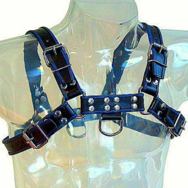 Blau-schwarz ledergeschirr brust bulldog aus blauem leder mit silbernen metallverschlüssen und nieten