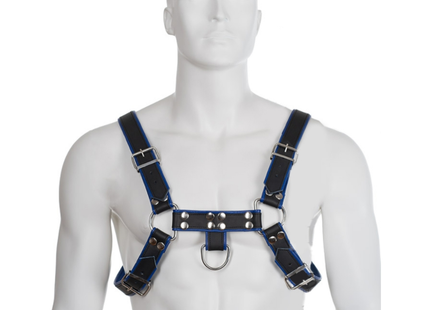 Blue and black leather body harness with silver-toned metal hardware for a bulldog chest in blau-schwarz