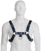 Blue and black leather body harness with silver-toned metal hardware for a bulldog chest in blau-schwarz