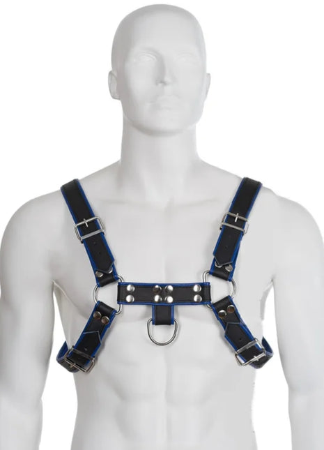 Blue and black leather body harness with silver-toned metal hardware for a bulldog chest in blau-schwarz