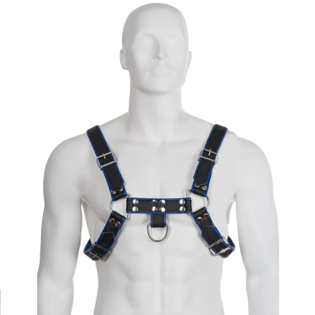 Blue and black leather body harness with silver-toned metal hardware for a bulldog chest in blau-schwarz