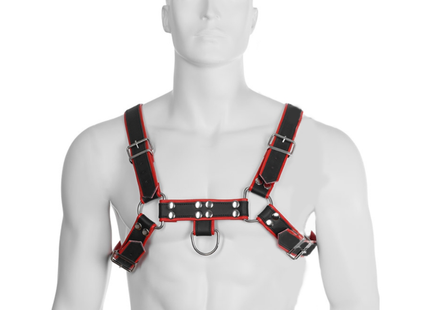 Schwarzer und roter leder kettenharness mit silbernen metallbeschlägen aus leder für den körper