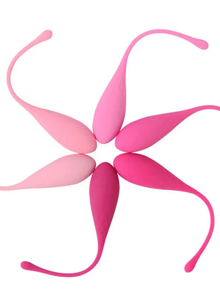 LESLIE - KEGEL FIT PELVIC - MUSCLE TRAINING SET - 6 STÜCKE - Liebeskugeln