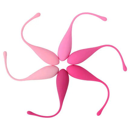 LESLIE - KEGEL FIT PELVIC - MUSCLE TRAINING SET - 6 STÜCKE - Liebeskugeln