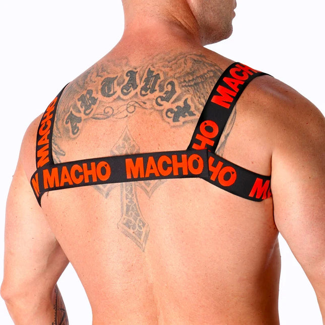 MACHO - DOPPELTES ROTES GESCHIRR - Harness