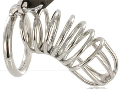 METAL HARD - KEUSCHHEITSGERT MIT HARTKFIGRING AUS METALL