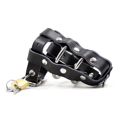 Ohmama fetish lederscheide mit metallringen und vorhängeschloss schwarz aus leder mit silbernen metallschlaufe und goldenem vorhängeschloss
