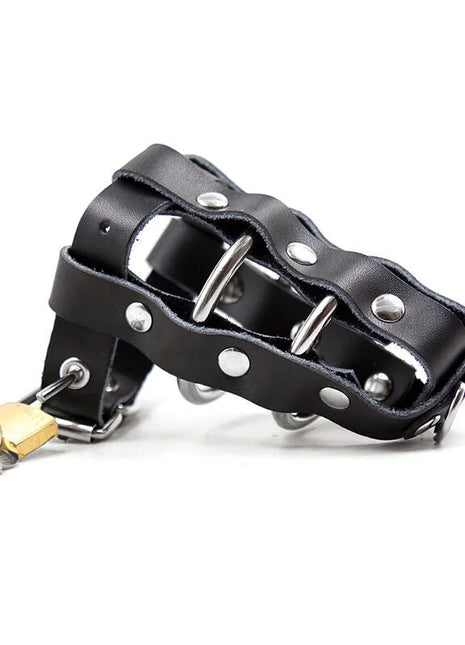 Ohmama fetish lederscheide mit metallringen und vorhängeschloss schwarz aus leder mit silbernen metallschlaufe und goldenem vorhängeschloss