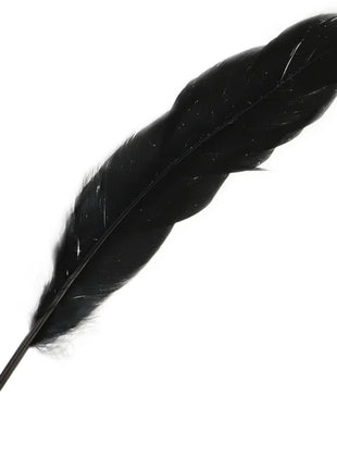 Eine elegante glänzend schwarze feder mit glattem leicht gebogenem schaf und dicht gepackten weichen barben