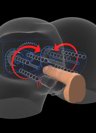 Transluzentes menschliches kopfmodell mit mechanischem innenleben und blauen sowie roten animationen für pdx elite mega masturbator milch mich dummer vagina und ano braun