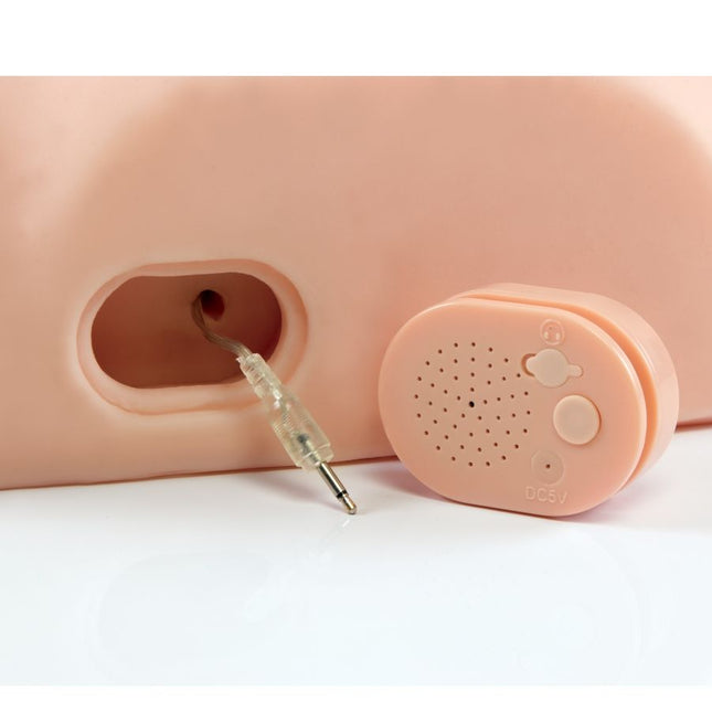 Pdx male männlicher interaktiver fick ihn alum pinker silikon hörgerät mit kleinem ovalem lautsprecher und audioanschluss