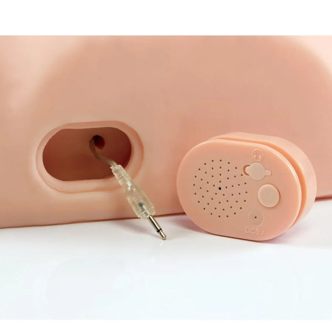 Pdx male männlicher interaktiver fick ihn alum pinker silikon hörgerät mit kleinem ovalem lautsprecher und audioanschluss