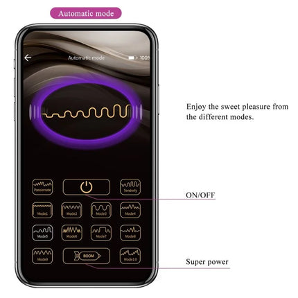PRETTY LOVE - BAIRD G-SPOT 12 VIBRATIONEN LILA APP - G-Punkt-Vibrator