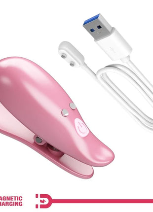 PRETTY LOVE - CAILEY NIPPELKLEMMEN 10 VIBRATIONEN FERNBEDIENUNG ROSA