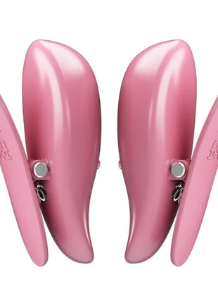 PRETTY LOVE - CAILEY NIPPELKLEMMEN 10 VIBRATIONEN FERNBEDIENUNG ROSA