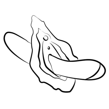 Minimalistisches schwarzes linienbild einer stilisierten muschel als symbol für den romp hype g-punkt-vibrator rot mit leiser motorfunktion