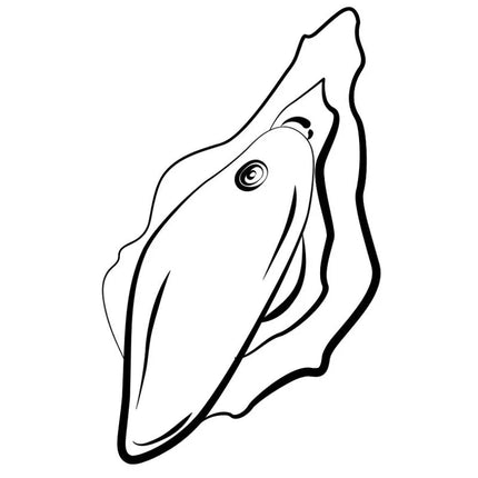 Schwarze linienzeichnung einer muschel mit detaillierten mustern passend zum romp wave klitorisvibrator in aquagrün