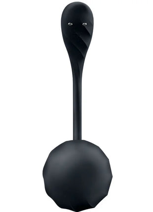 SATISFYER - RIBBED PETAL G POINT STIMULATOR FERNBEDIENUNG SCHWARZ KOSTENLOSE APP - Paarvibratoren