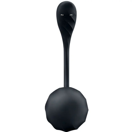 SATISFYER - RIBBED PETAL G POINT STIMULATOR FERNBEDIENUNG SCHWARZ KOSTENLOSE APP - Paarvibratoren