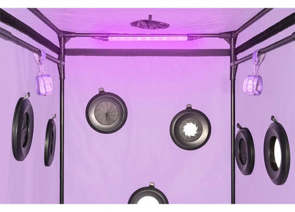 SECRET DOME - KINK CLUB CABIN SCANDALE LILA