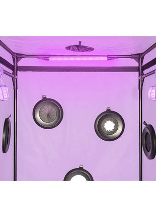 SECRET DOME - KINK CLUB CABIN SCANDALE LILA