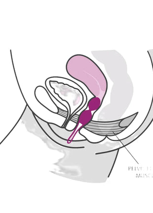 Lila silikon-vaginalspielzeug smartballs duo becken bälle mit spitz zulaufendem design und kleinem ring