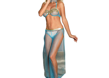 Sheer türkisfarbenes mesh dessous-set mit goldenen verzierungen und passendem gesichtsveil im indischen stil s m