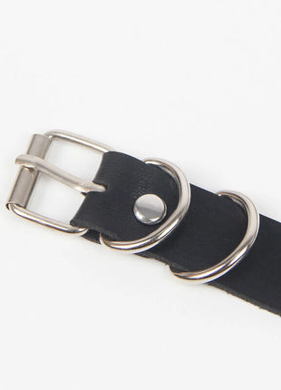 SUBBLIME - Verführerische Strumpfhose mit Ringen Einheitsgröße - Gürtel-Harness