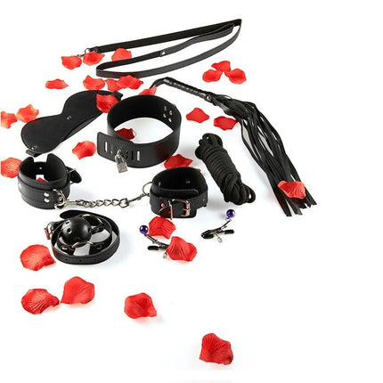 TOYJOY - NUR FÜR SIE BDSM-STARTER-KIT - Bondage-Sets