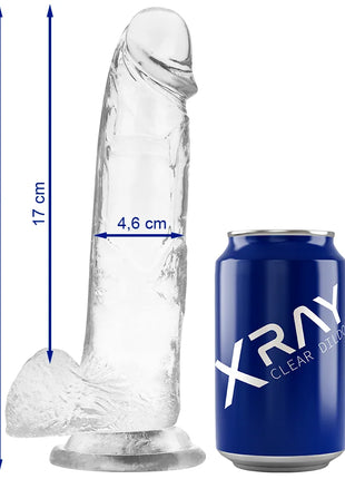 X RAY - KLARER HAHN MIT EIER 22 CM -O- 4.6 CM